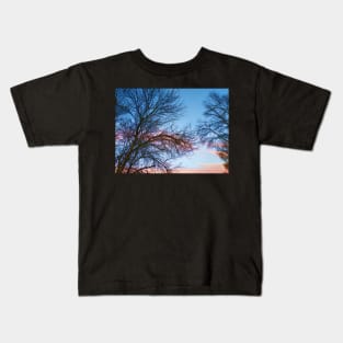 Photo of Leafless Branches Against Morning Sky Kids T-Shirt